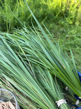 Sweetgrass Roll-On