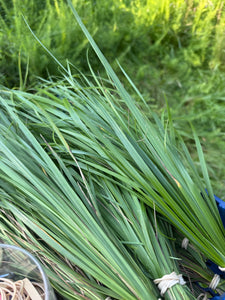 Sweetgrass Roll-On