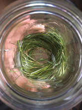 Sweetgrass Roll-On
